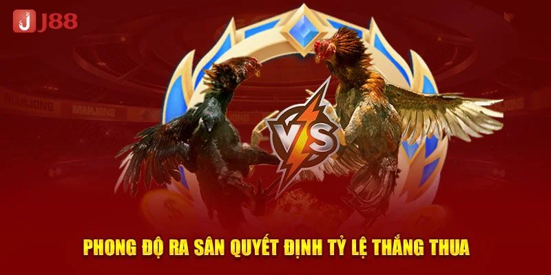 Chọn chiến kê dựa trên phong độ là mẹo chơi đá gà J88 hiệu quả