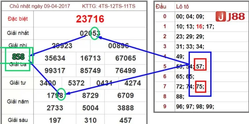 Kỹ thuật bắt song thủ lô muốn ăn lớn cần kết hợp cùng nhiều phương pháp nuôi số.